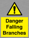 danger-falling-branches~